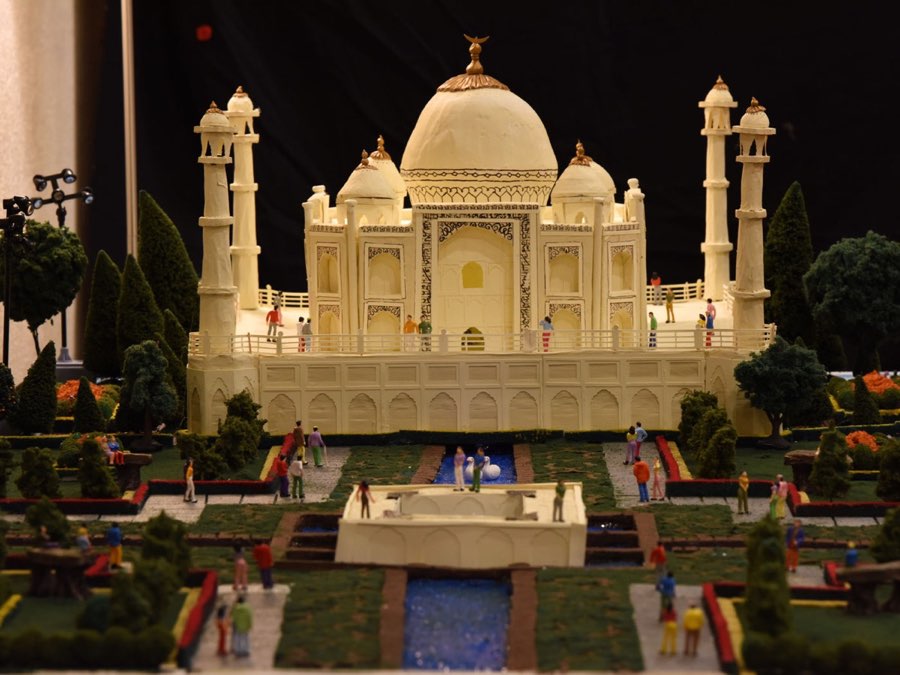 Golu 2017 photograph 6