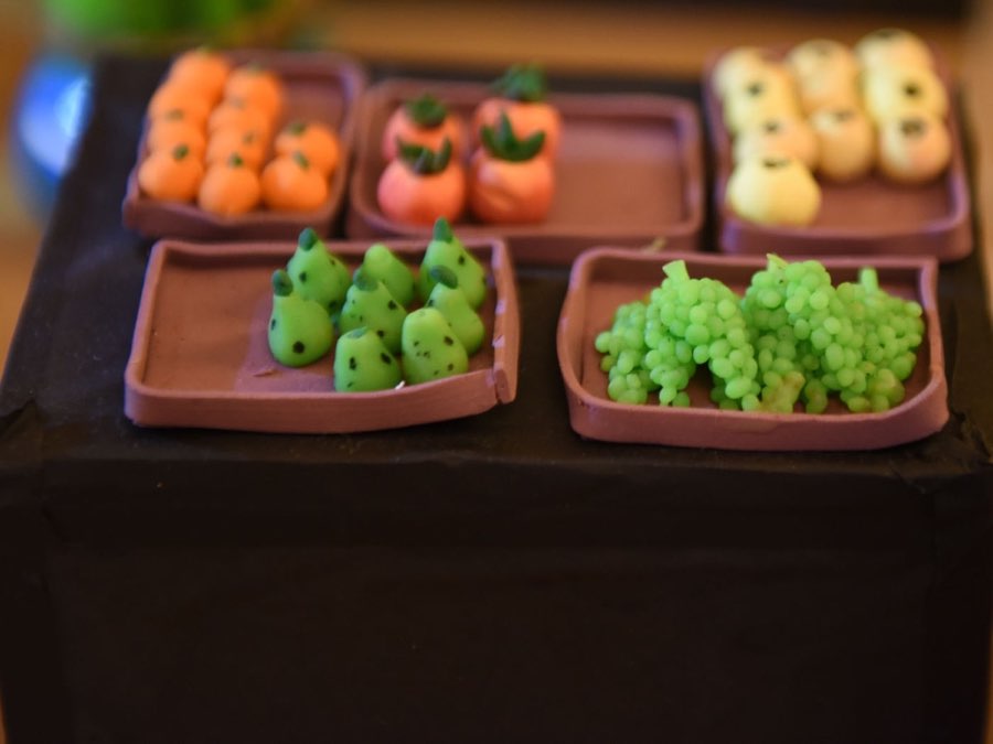 Golu 2015 photograph 31