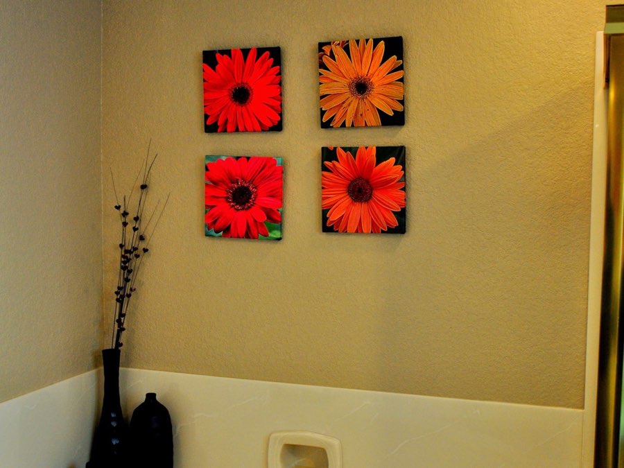 Around the house photograph 9
