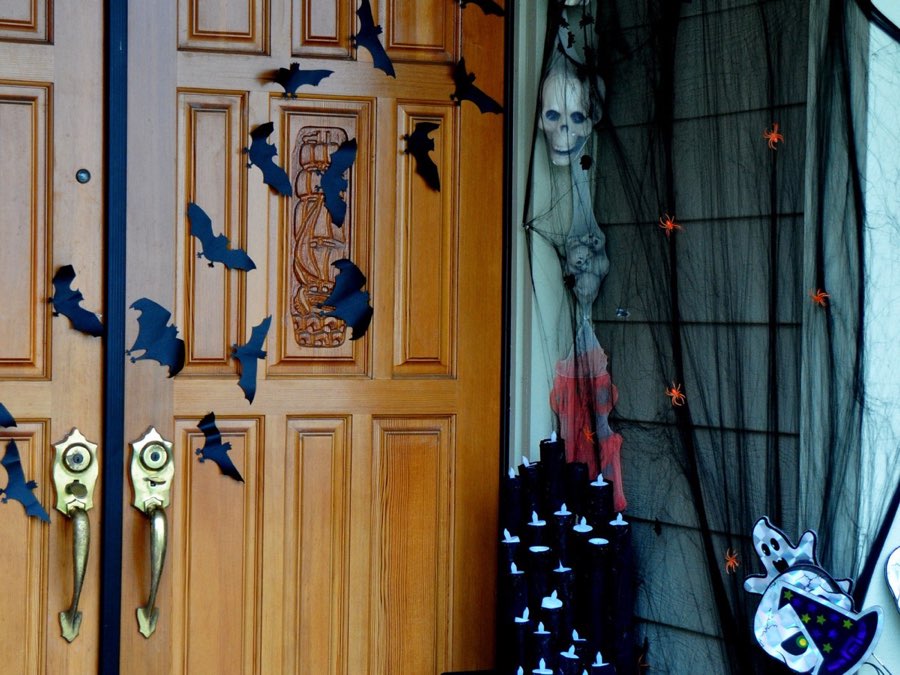 Haloween 2017 photograph 2