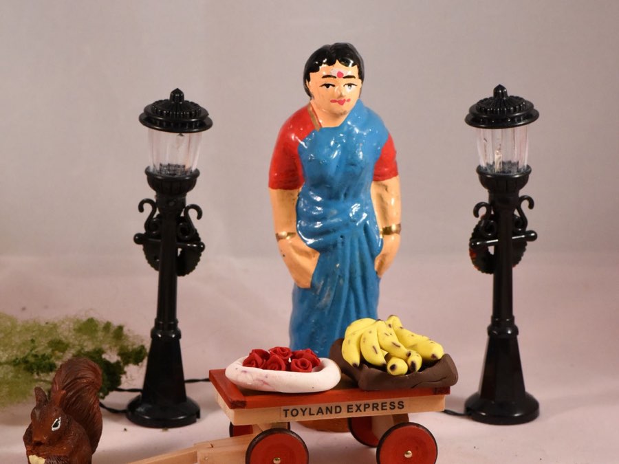 Golu 2015 photograph 1
