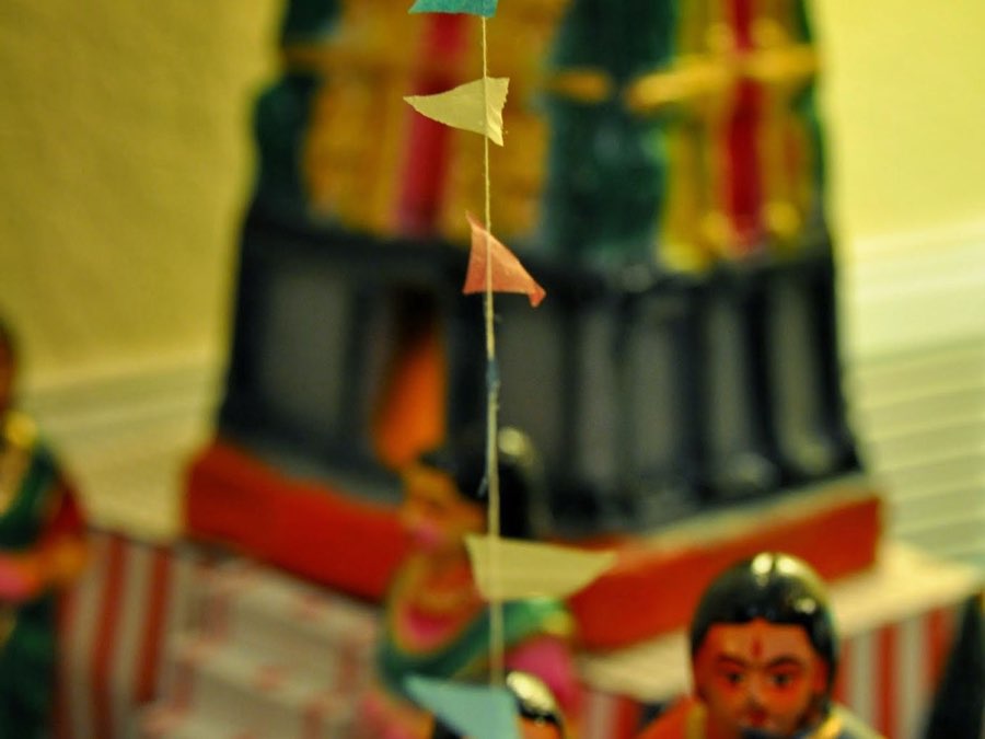 Golu 2014 photograph 4