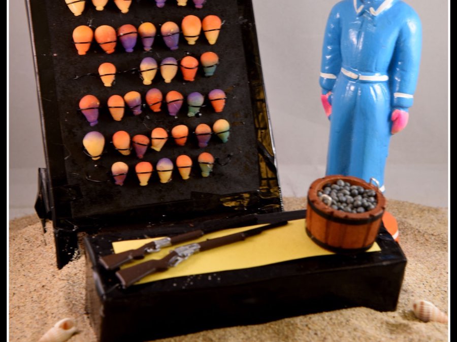 Golu 2016 photograph 22