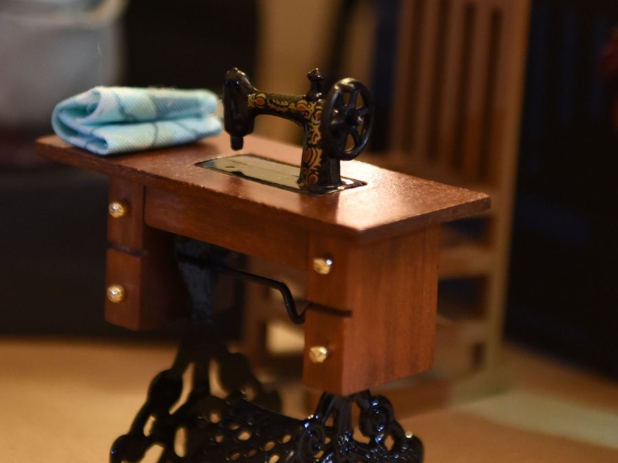 Golu 2015 photograph 28
