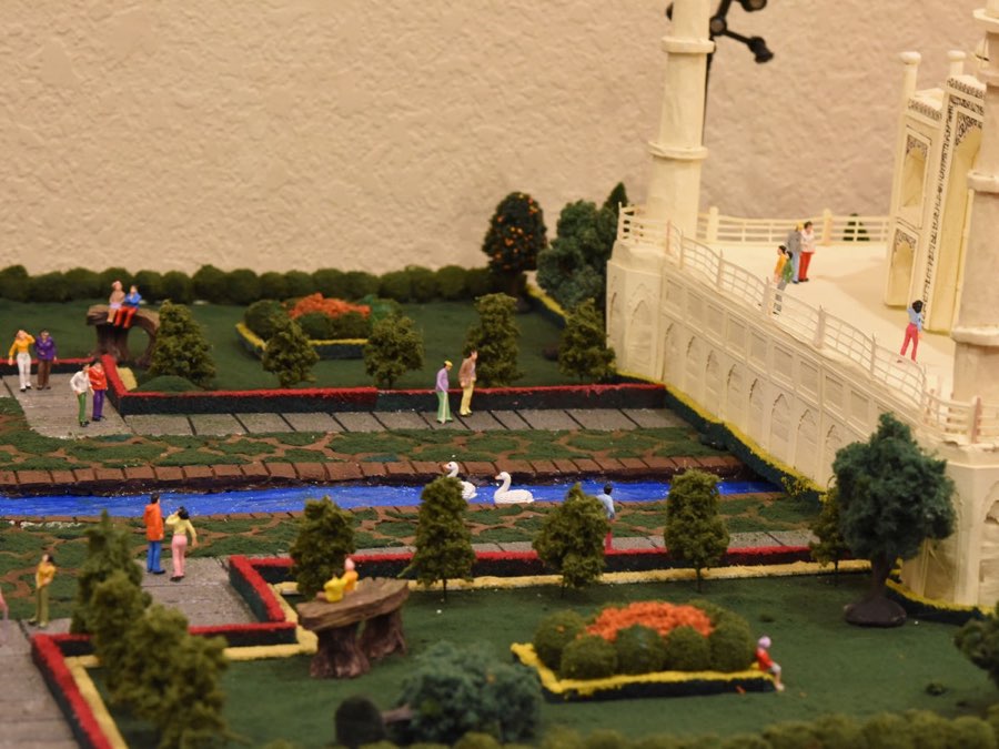 Golu 2017 photograph 3