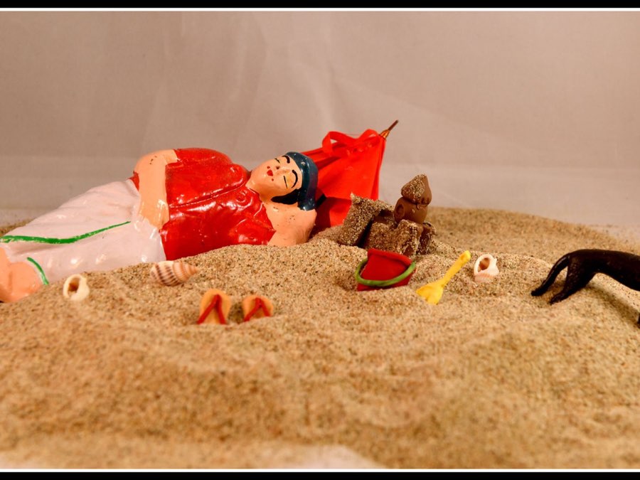 Golu 2016 photograph 21