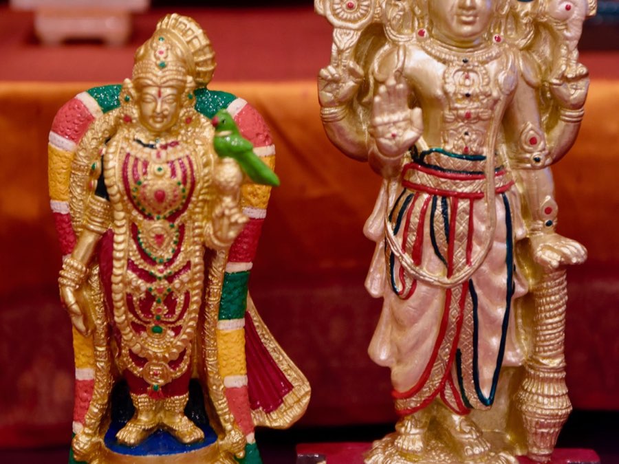 Golu 2020 photograph 7