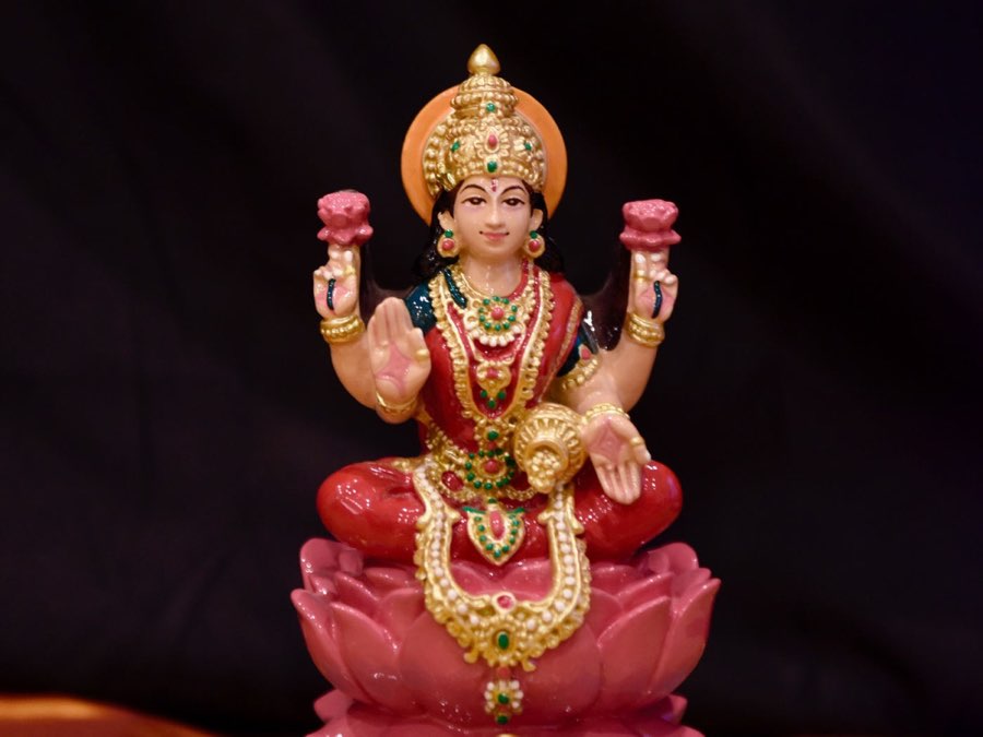 Golu 2020 photograph 6