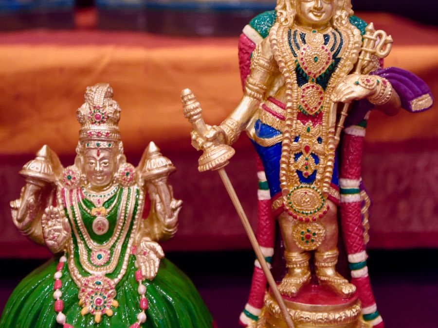 Golu 2020 photograph 5